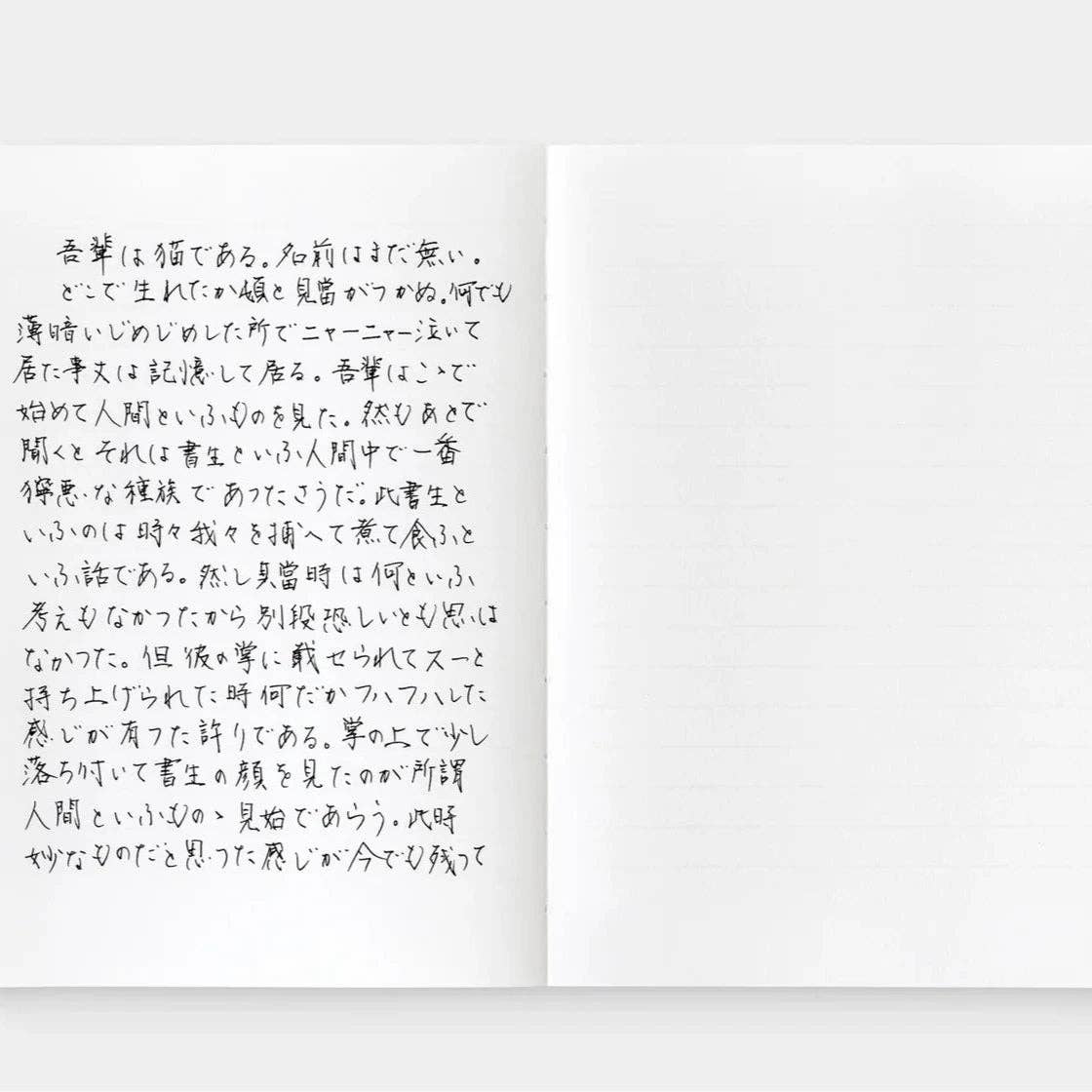 Notebook For Writers - Red Dot Design Award Winner - iA brand